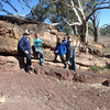 Fossils in Ikara-Flinders Ranges, Australia